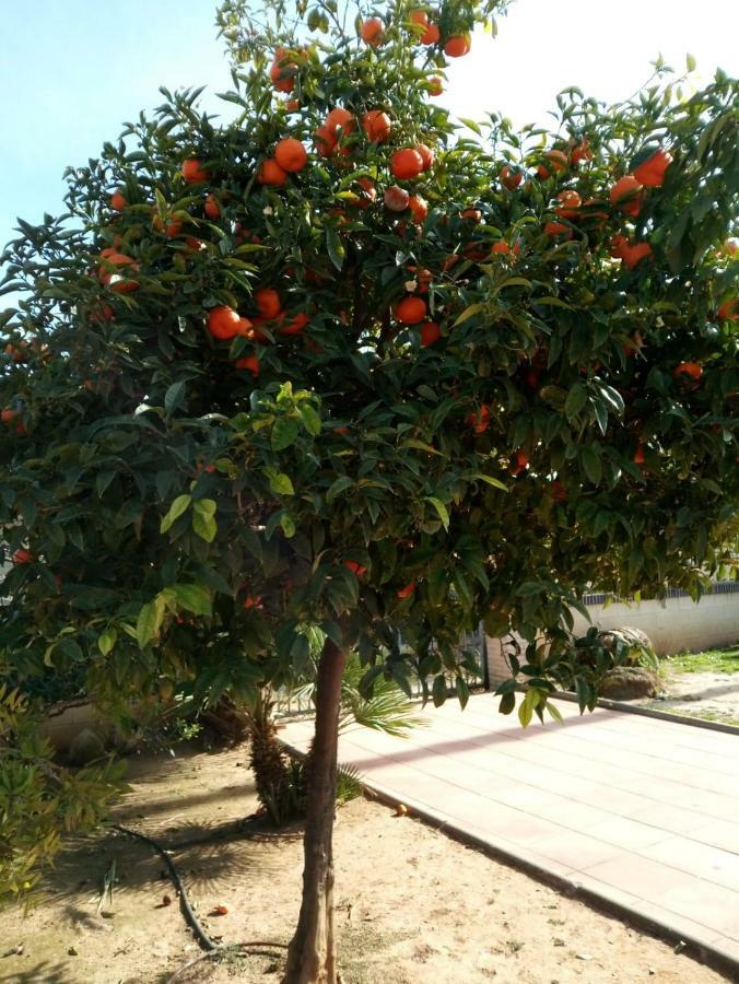 شقة Cl Gravina 20 غراو ذي كاستيّيون المظهر الخارجي الصورة